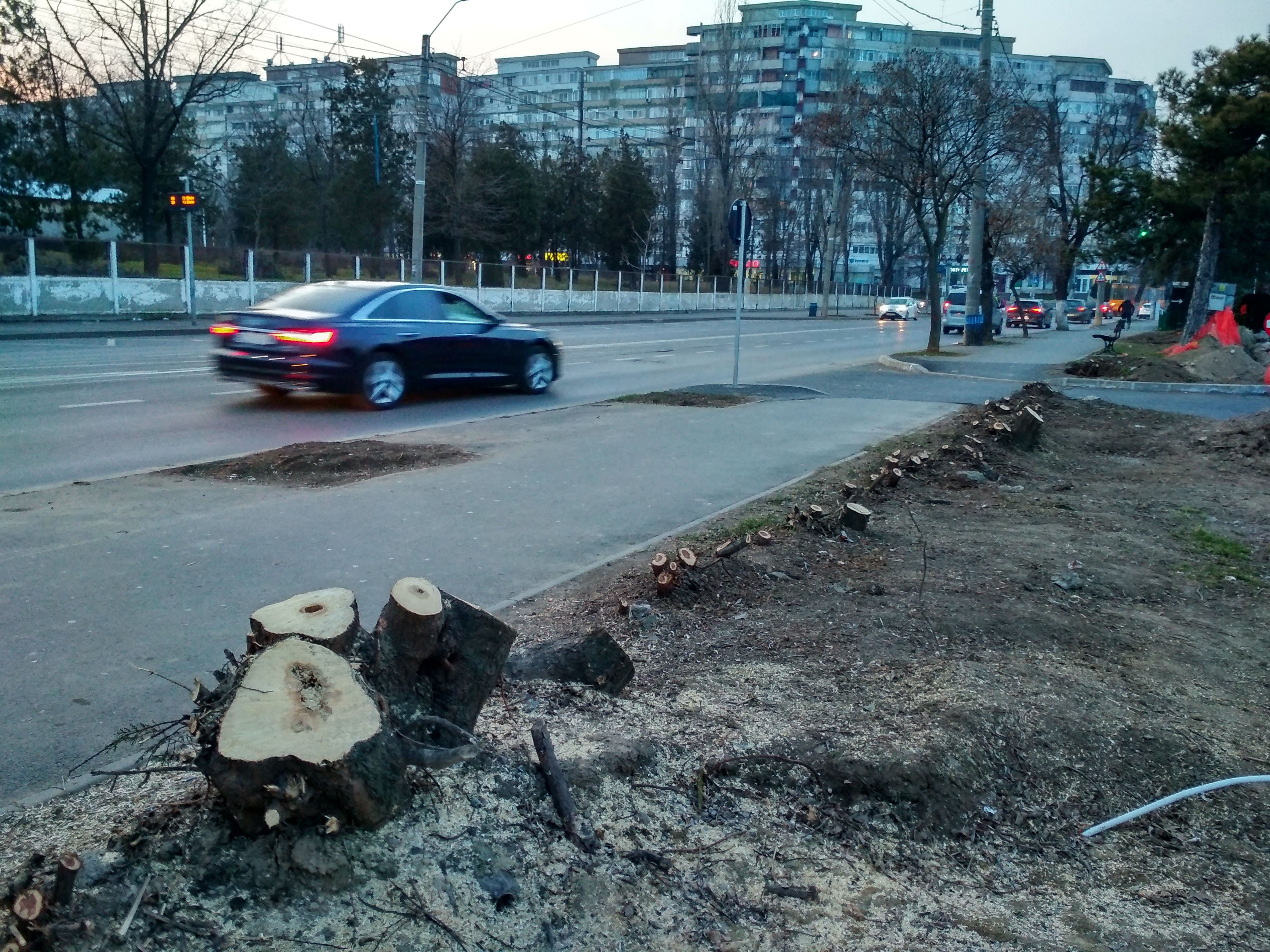 Poza zilei. Spaţiu verde defrişat pe scuarul străzii Stadionului