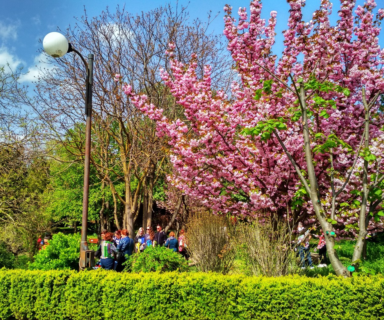 Prognoza meteo pentru următoarele două săptămâni: Vreme caldă şi ploi aproape zilnic, în unele zone