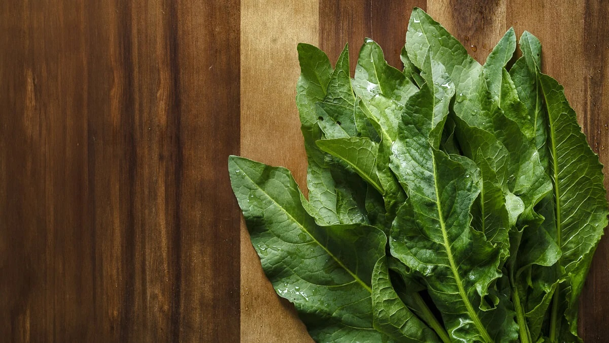 Ștevia, sănătate curată din inima naturii