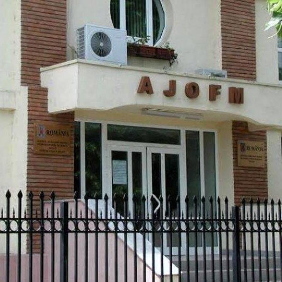 Numărul locurilor vacante, în creștere ușoară