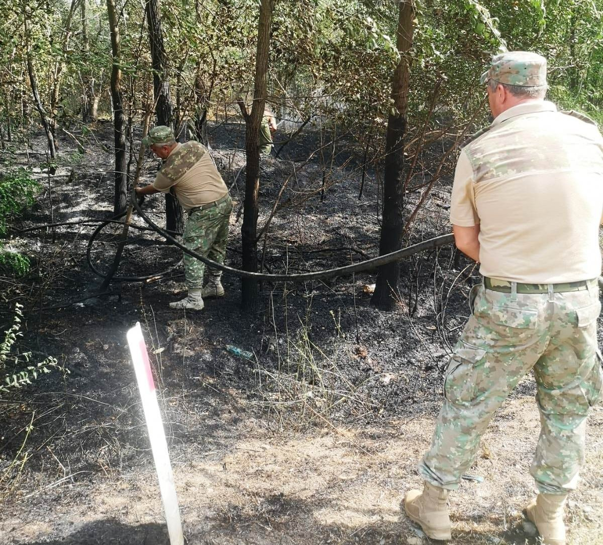 Incendiul de la Lacu Sărat a fost lichidat