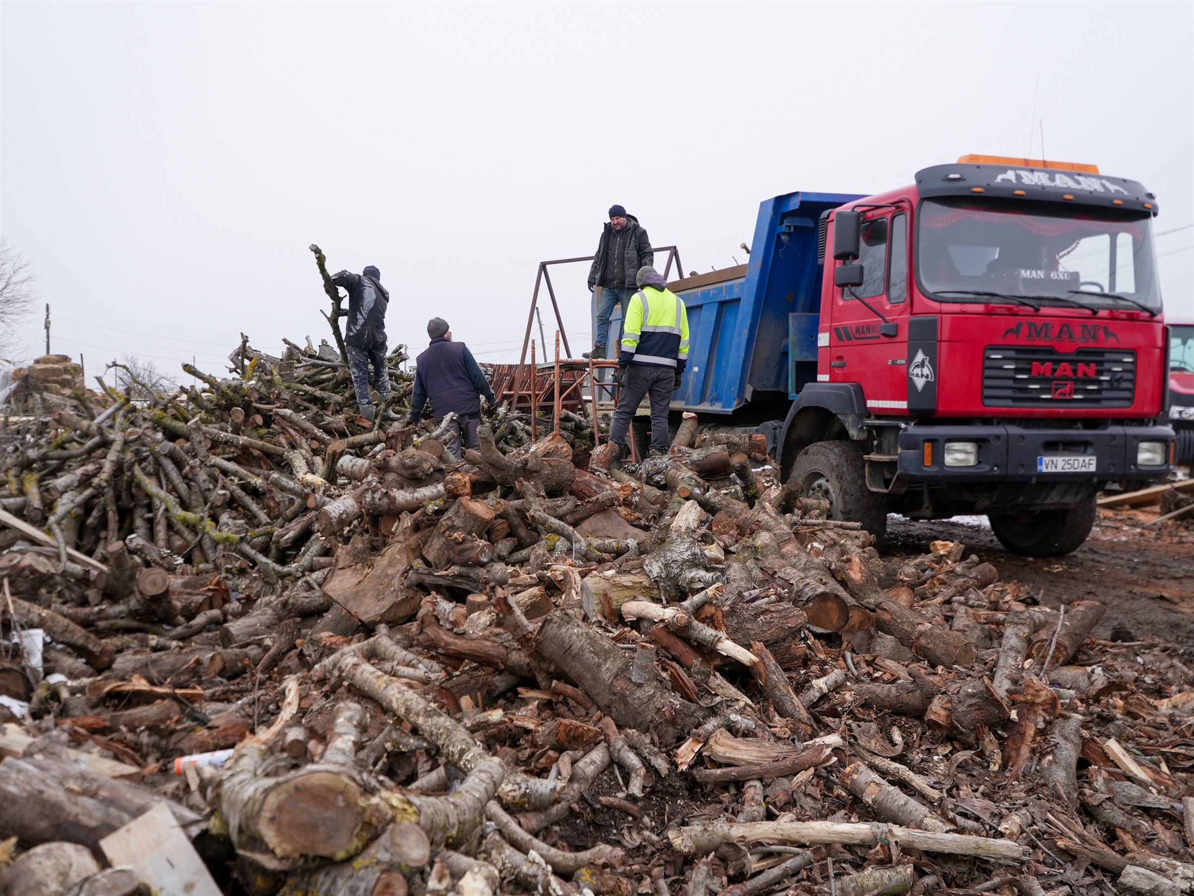Lemne oferite prin biserică familiilor nevoiaşe din judeţul Galaţi