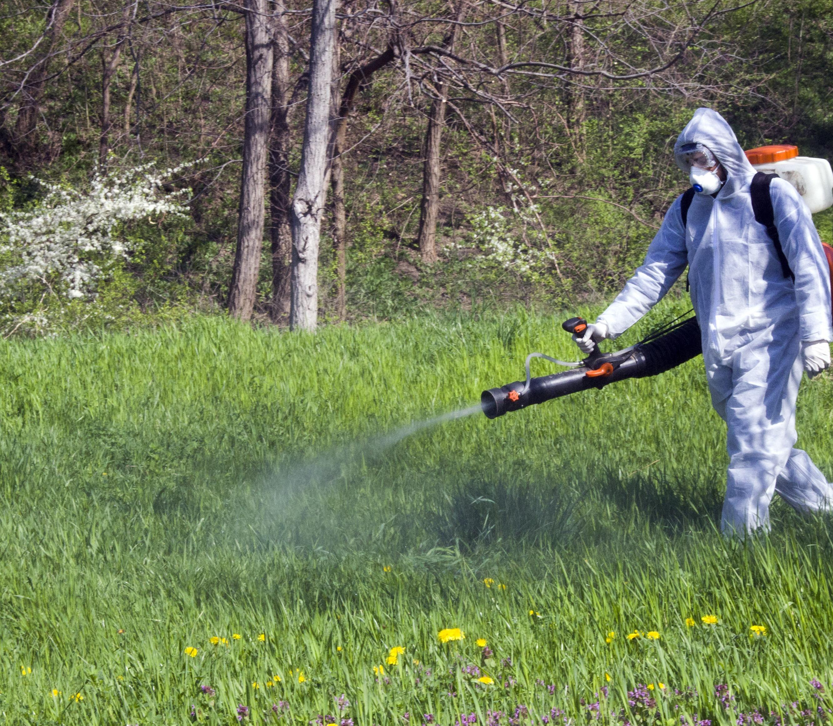 Ne mănâncă ţânţarii. Când şi unde se face DEZINSECȚIA în Galați