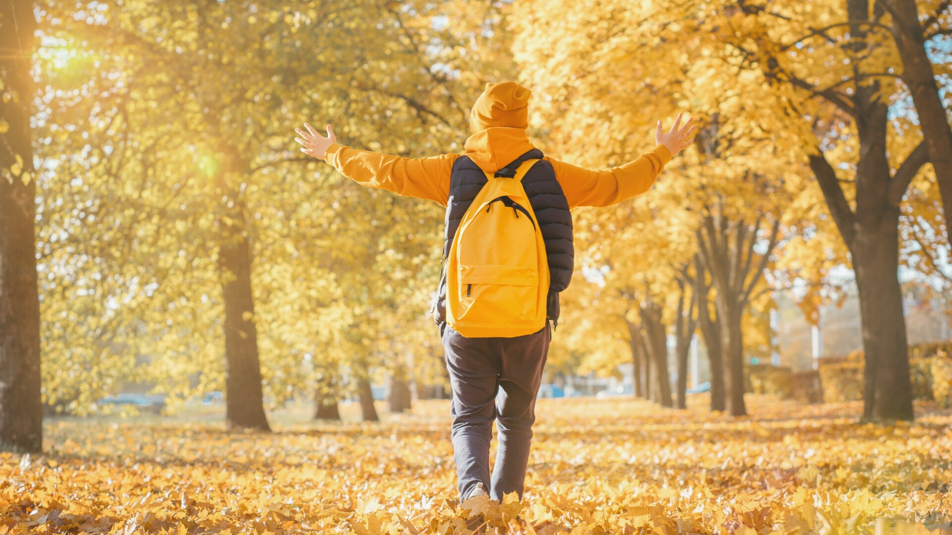 Primul modul din noul an școlar se apropie de sfârșit