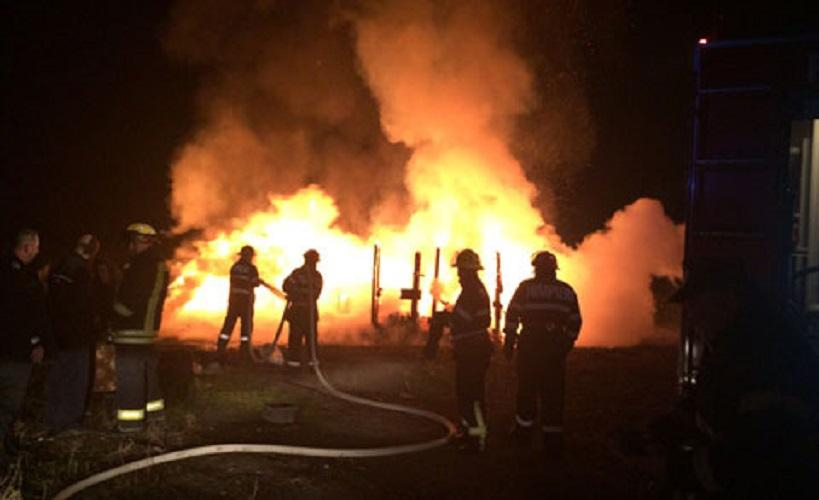 Un mafiot a încercat să omoare români