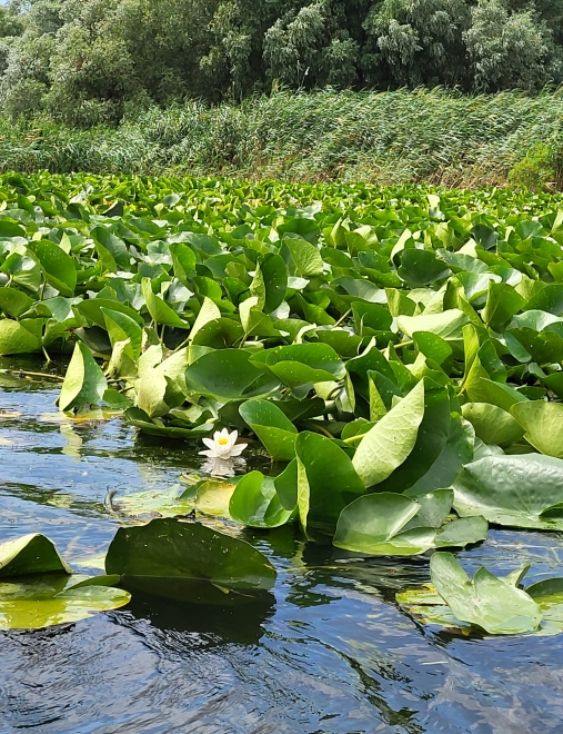 Impresii de călătorie pe plaiuri dobrogene