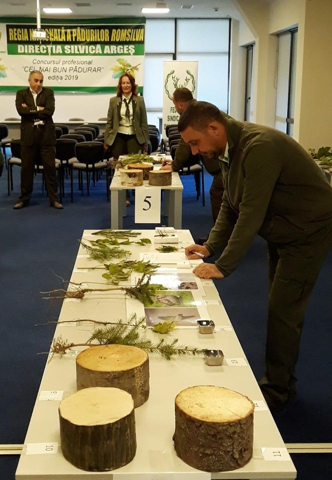 Gălăţeanul Cătălin Laurențiu Chirilă, în topul pădurarilor din România