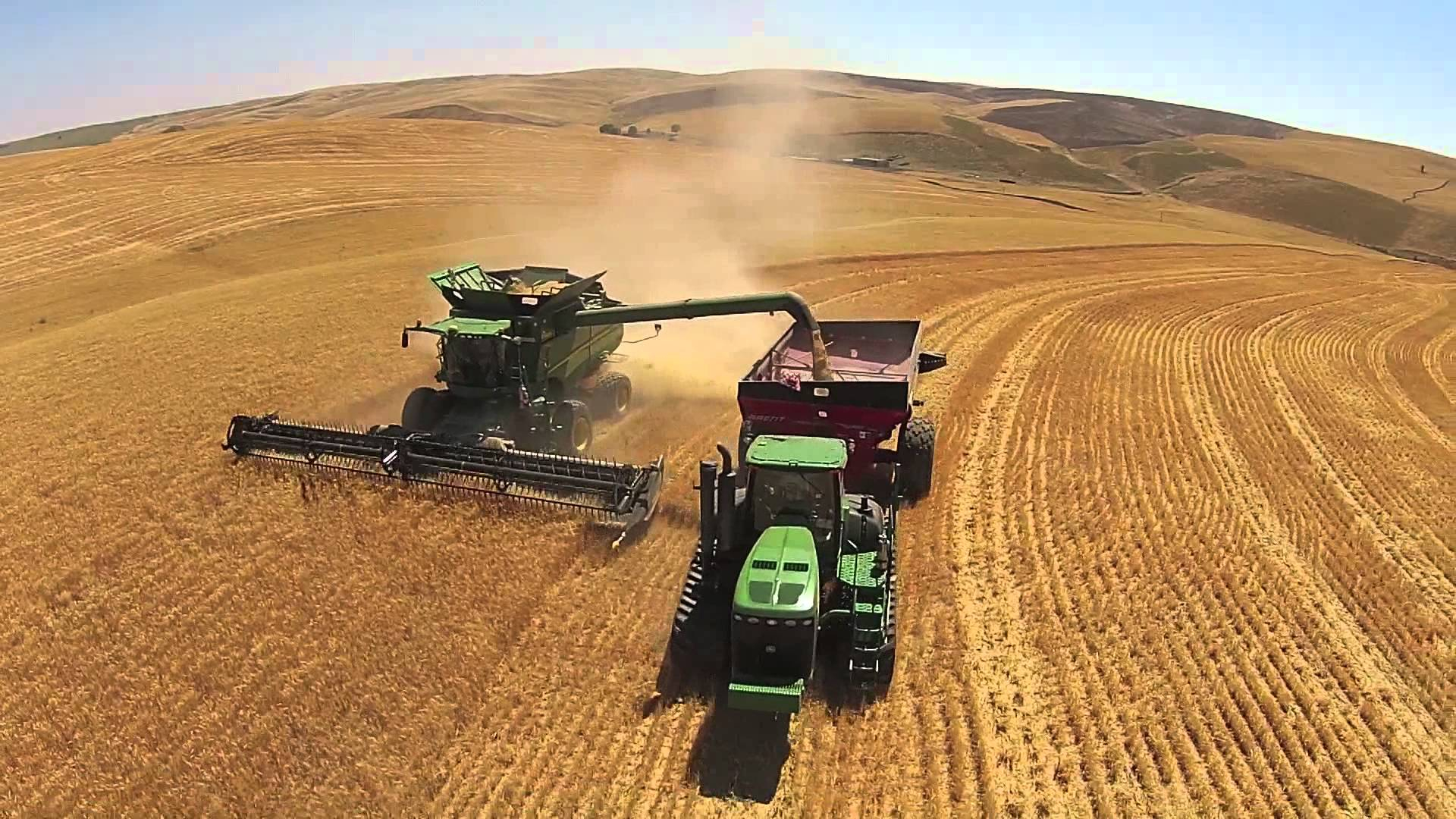 2017, un nou an al păioaselor. Producţii bune la grâu, pentru fermierii gălăţeni