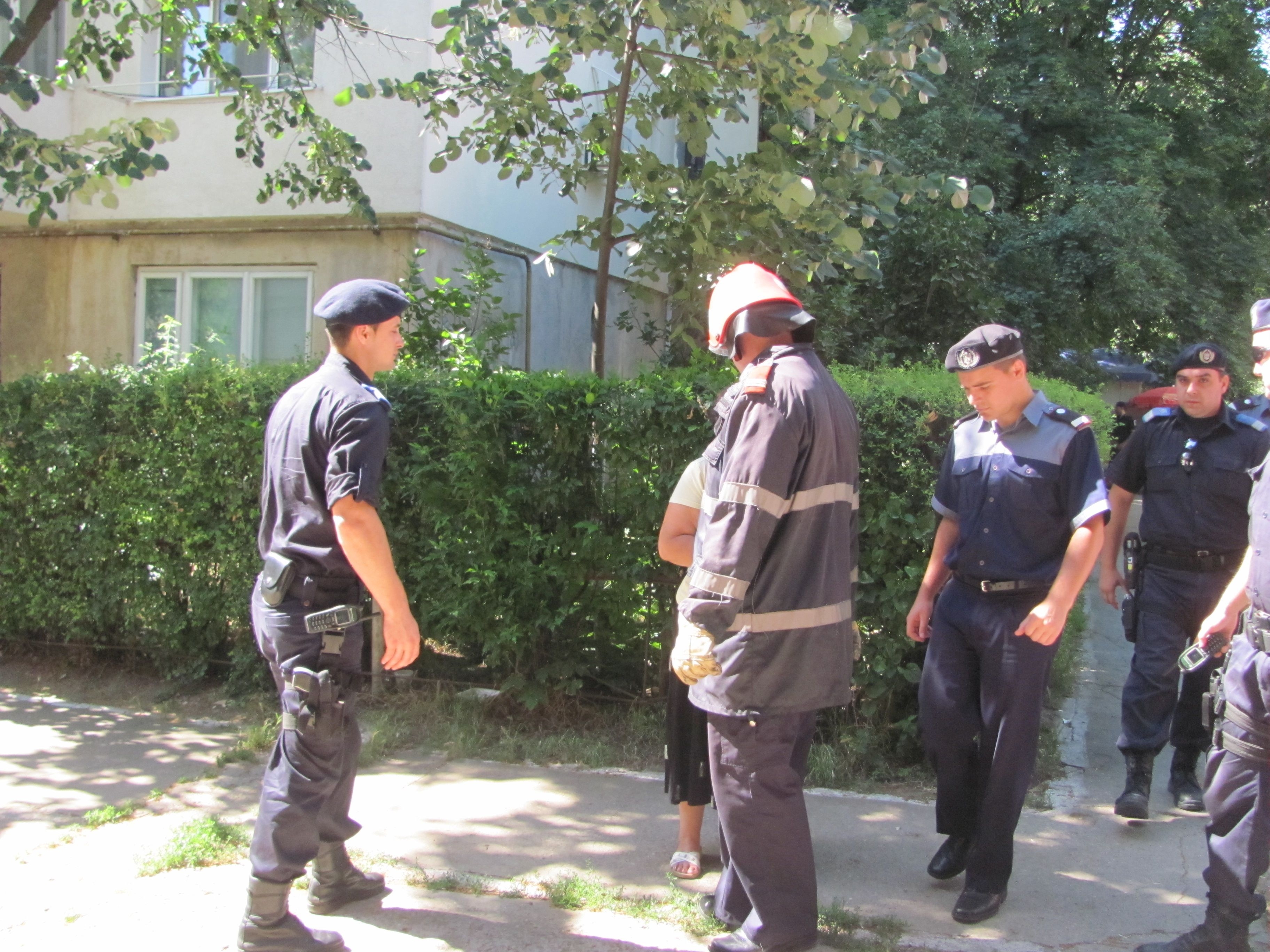 Pompierii au căutat o cobră în cartierul Ţiglina III