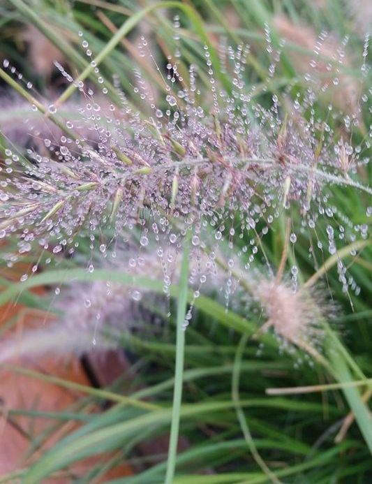 PROGNOZA METEO | Cum va fi vremea, în acest weekend, la Galați