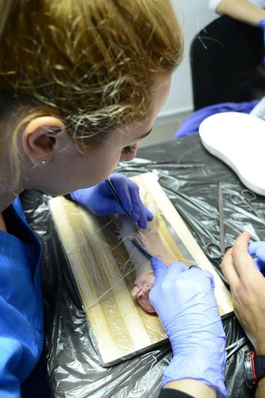 Workshop de Chirurgie pentru studenţi