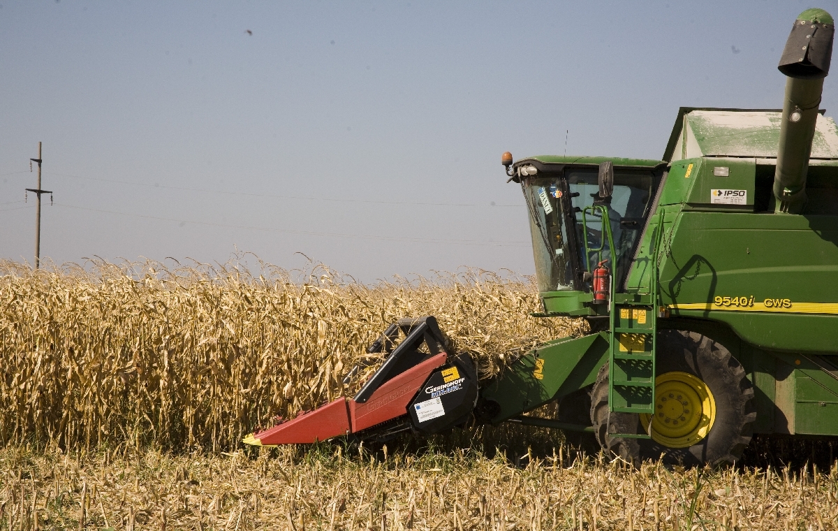 Fonduri pentru fermieri/ Agricultorii îşi vor PRIMII BANII în următoarea perioadă
