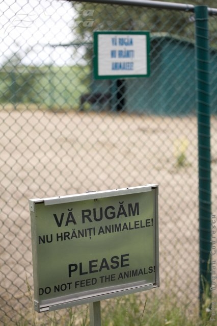 Unii vizitatori, ” mai răi decât animalele”   