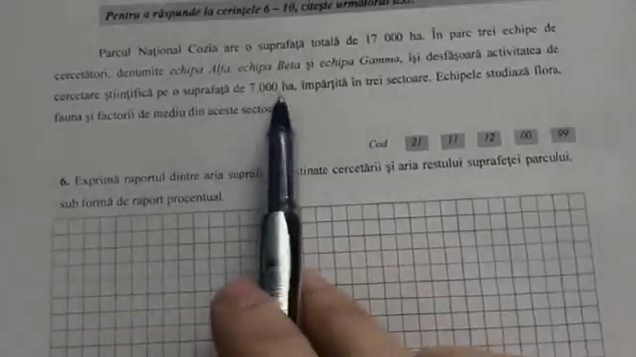Elevul stresat dintr-a VI-a și Evaluarea Națională