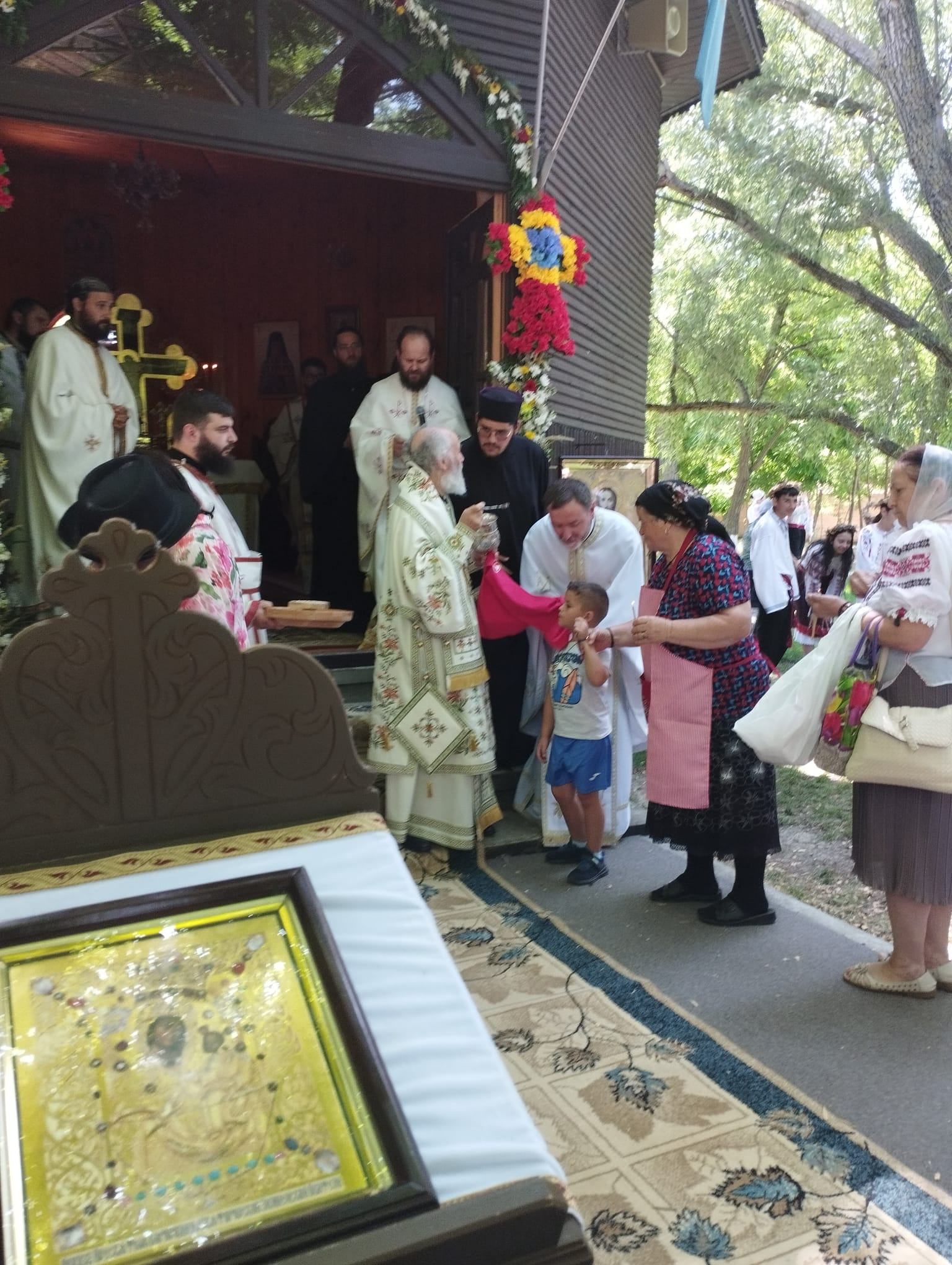 La Mănăstirea Măxineni, ciulinii s-au transfigurat într-o câmpie de smarald (GALERIE FOTO)