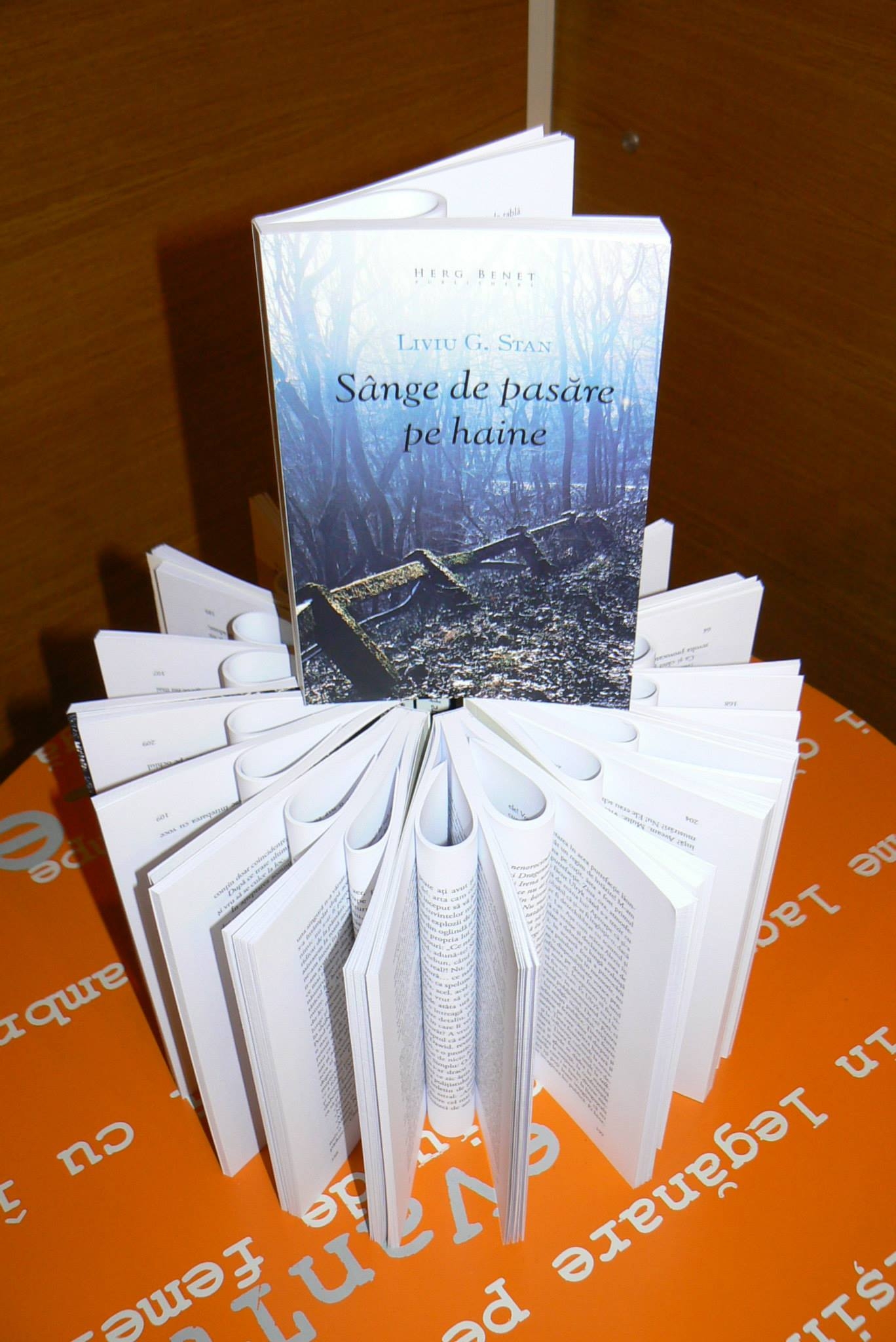 Cronica unui roman TULBURĂTOR/ Cartea care îţi intră sub unghii precum aşchiile...