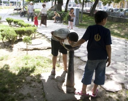 Ţâşnitorile sunt flori rare 