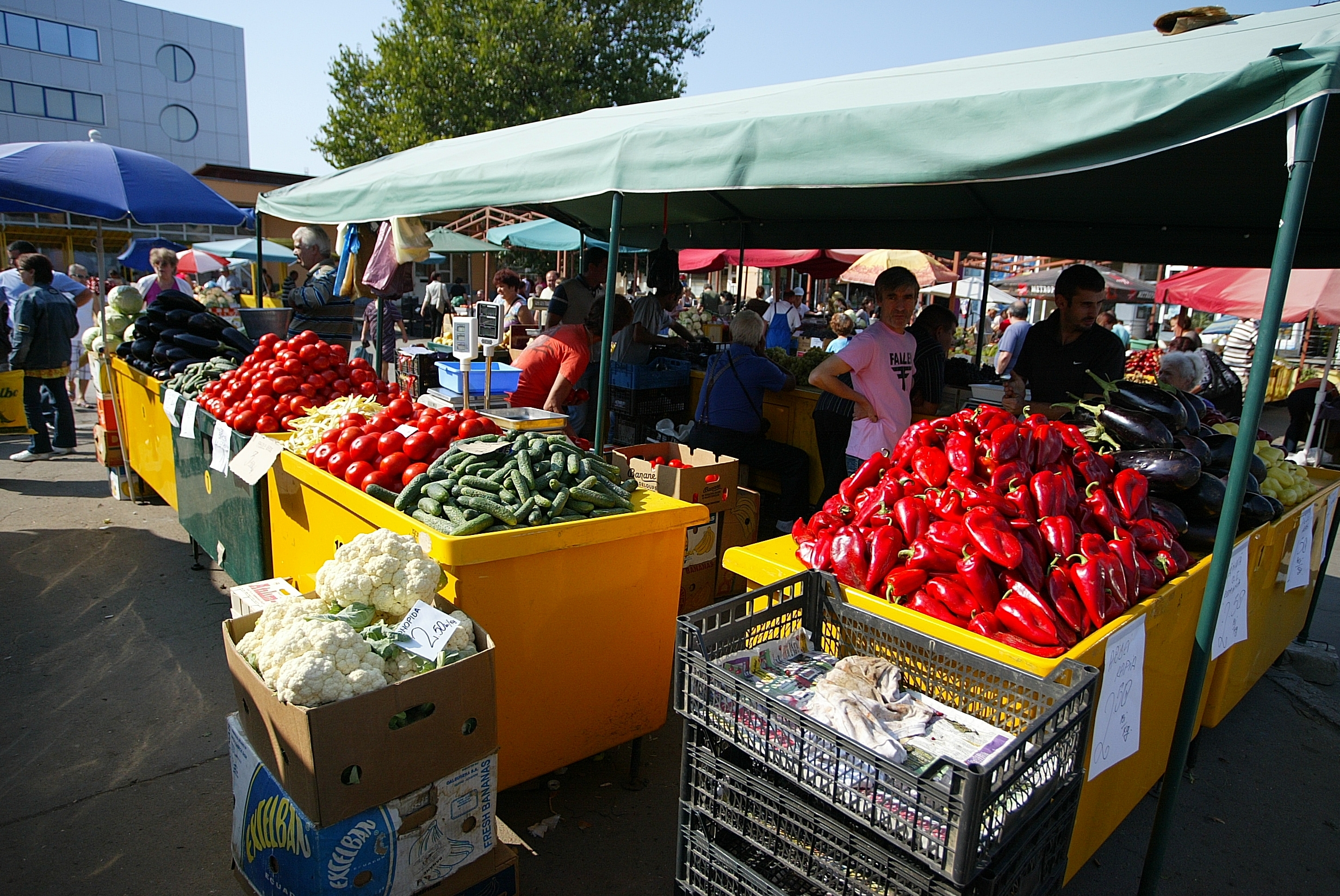 Gălăţenii PIERD din cauza EMBARGOULUI RUSESC. Legume mai ieftine, dar nu pentru omul de rând