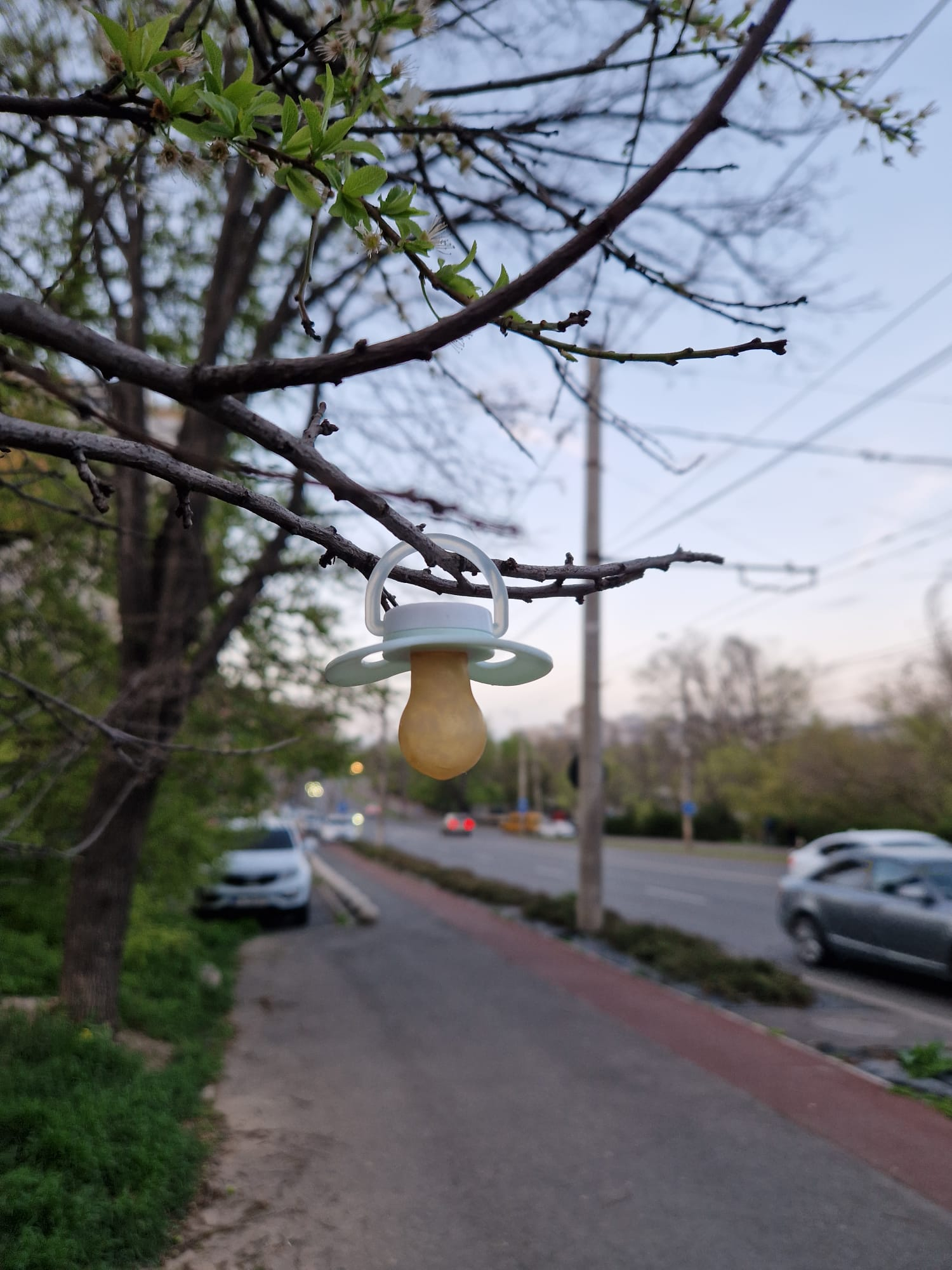 Poza zilei: Când nu mai ai nevoie de cârja emoţională