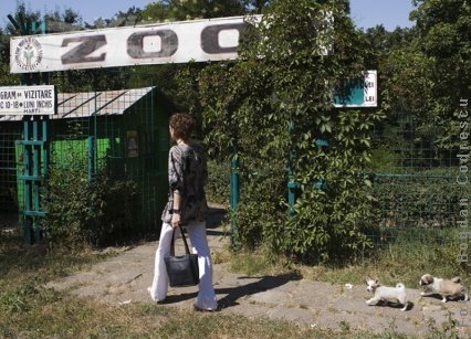 Parcul Zoo de la Gârboavele se închide pentru modernizare
