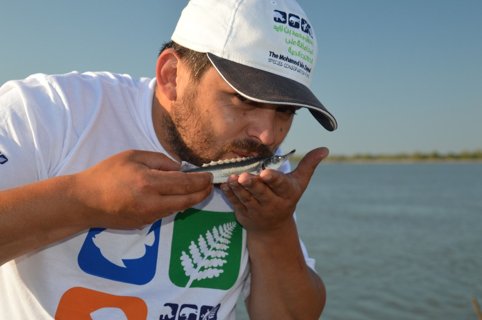 Un nou proiect dedicat STURIONILOR, finanţat privat