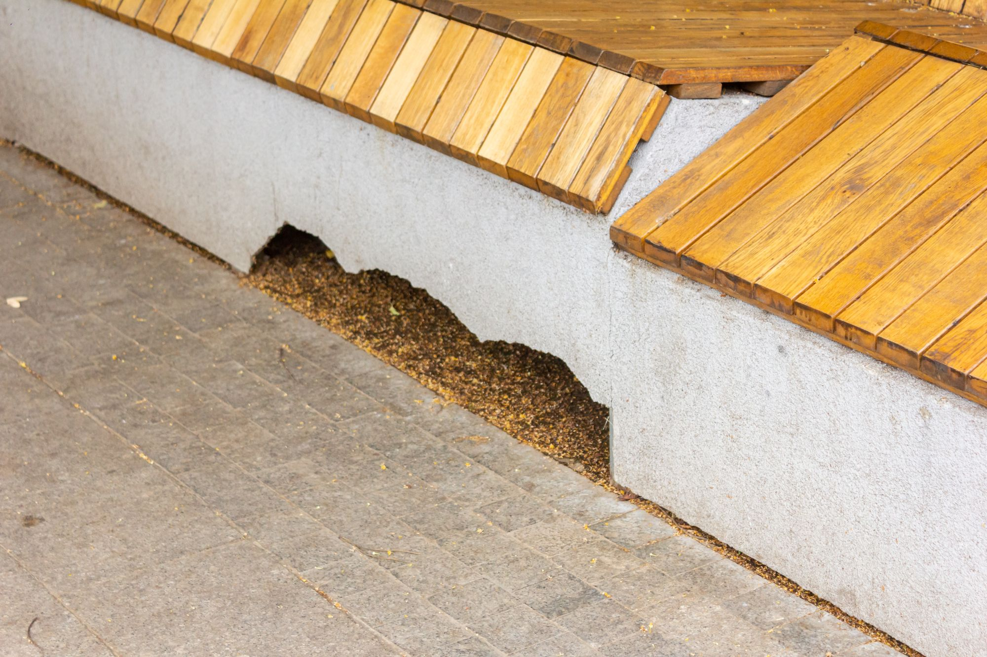 Arteziene ciobite şi bănci sparte, în zona Romarta (FOTO)