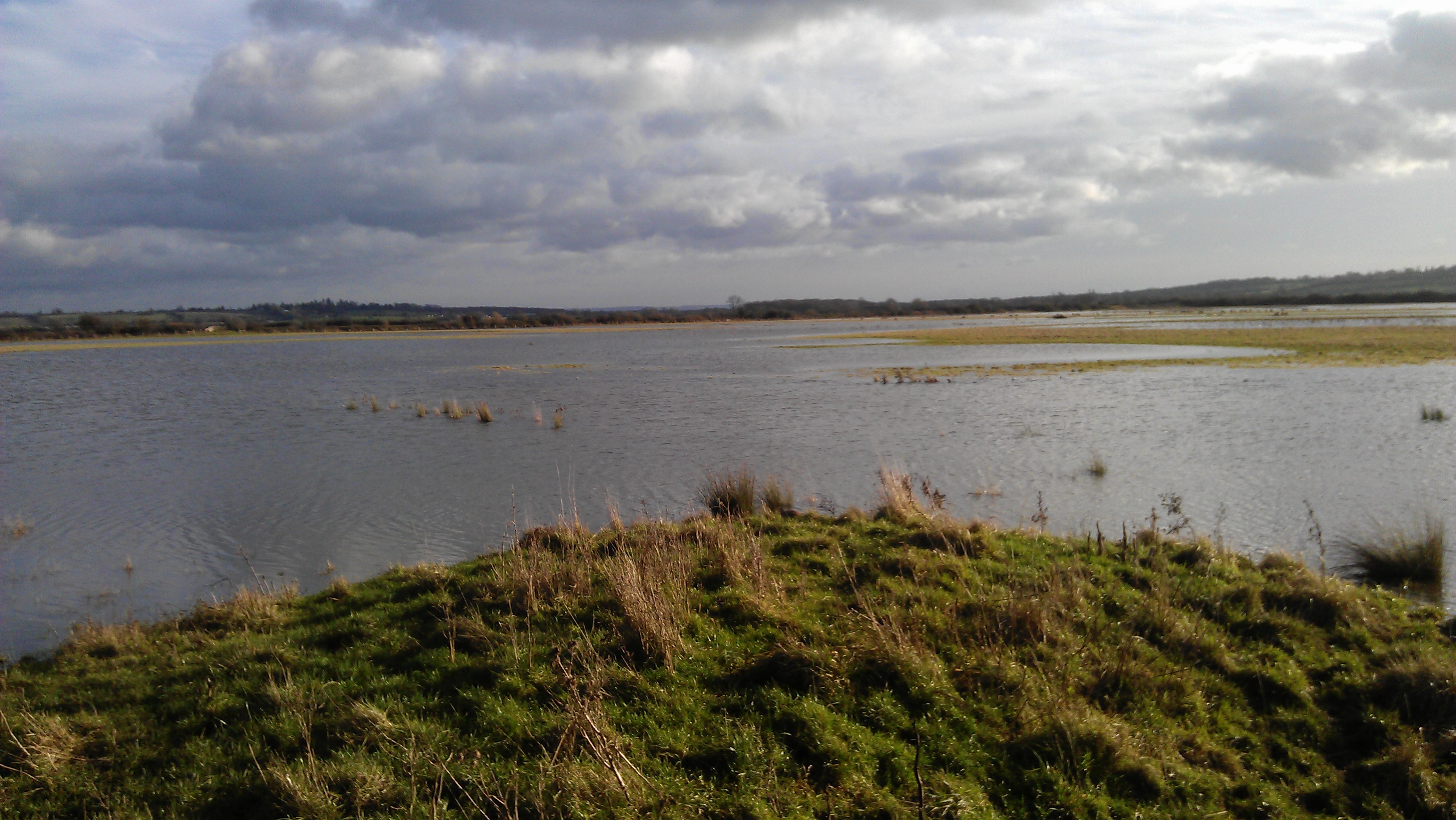 CALAMITATE după calamitate, în câmp, în 2016