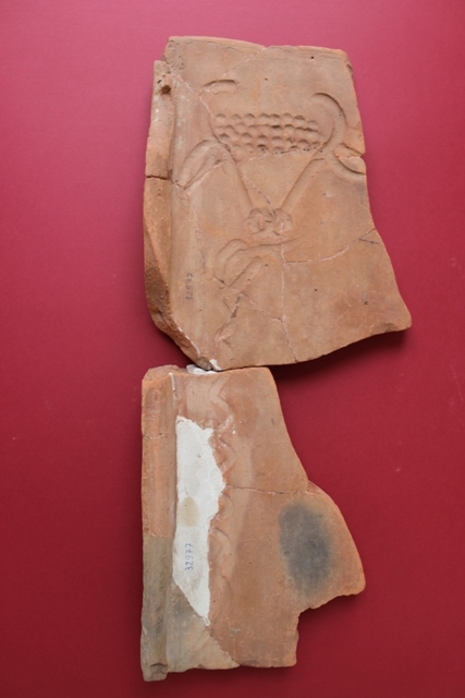 Un vestigiu antic UNIC în România, descoperit la Galaţi