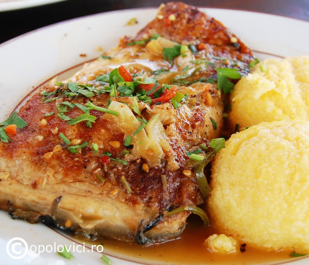 Campania VL „Eu vara nu dorm”/ Cât costă o SARAMURĂ DE CRAP în restaurantele gălăţene