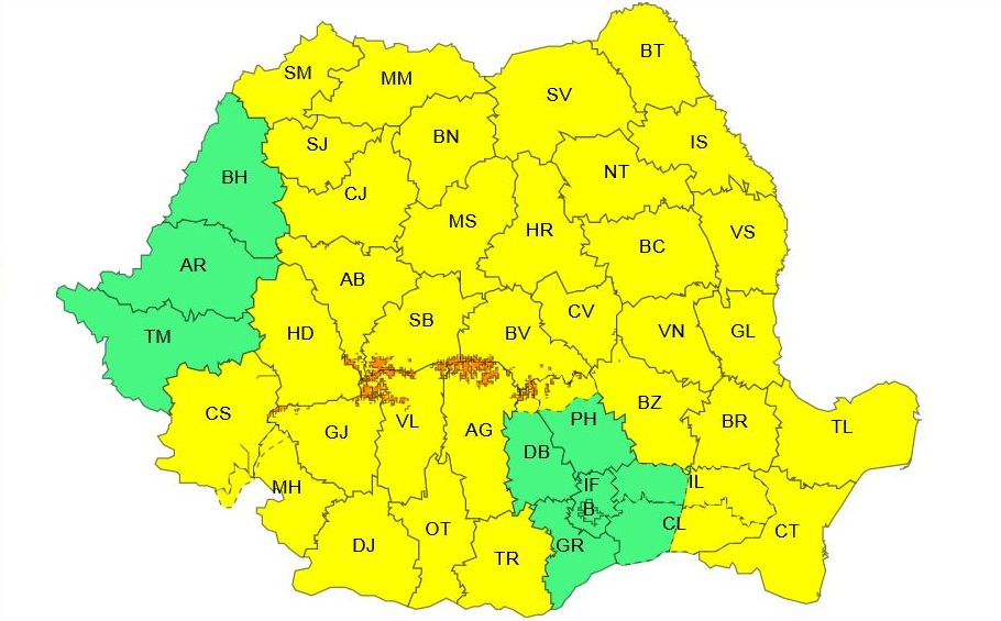 Cod galben cu prelungire la Galaţi