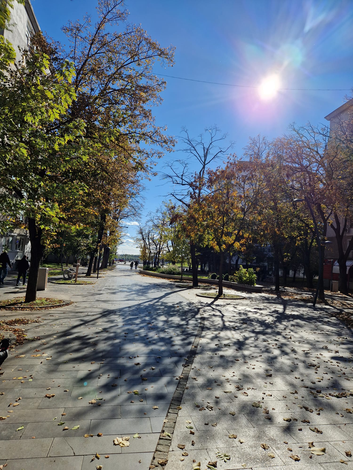 Maxima zilei ajunge la 18 grade Celsius