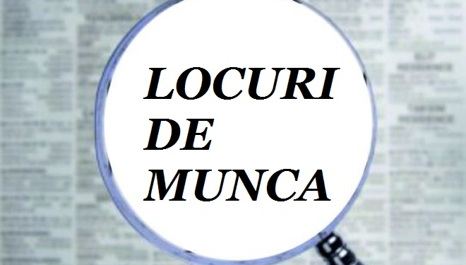 241 locuri de muncă vacante, la AJOFM