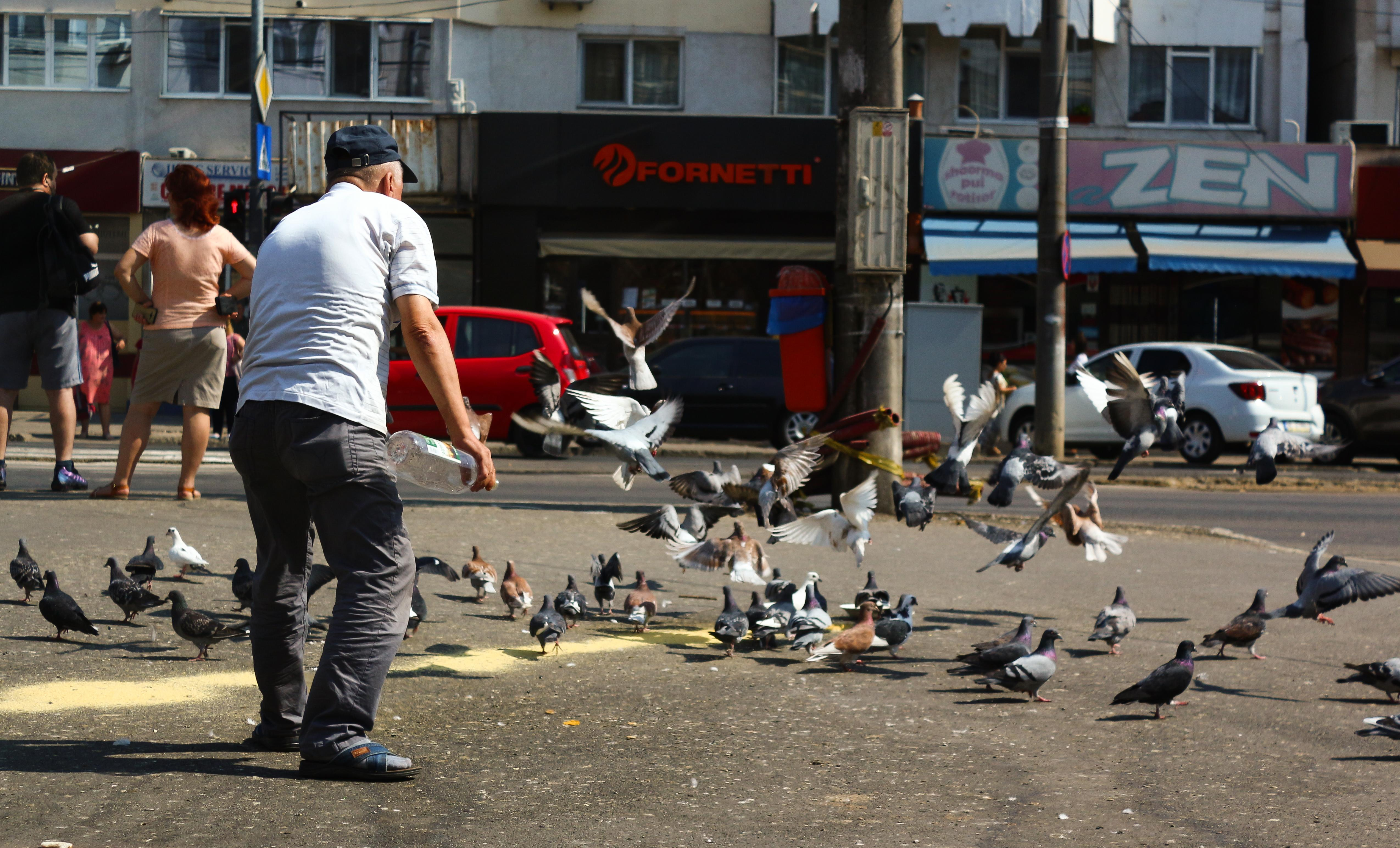 ”San Marco” de Galaţi, la IREG (FOTO)