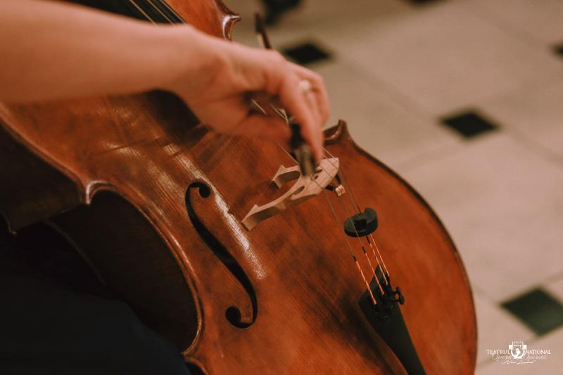 Muzică romantică și operă, în a patra săptămână a Festivalului "Leonard"