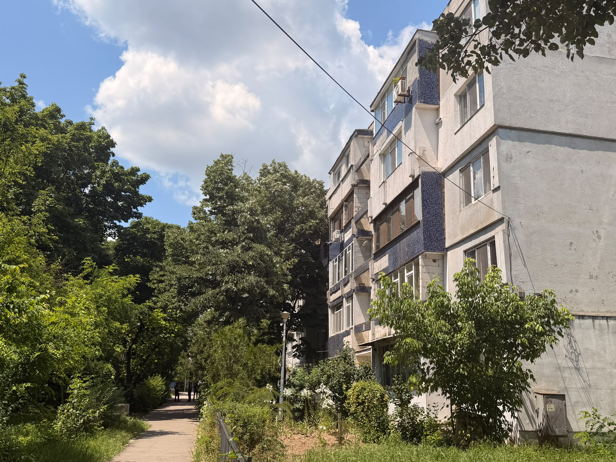 Mama băiețelului găsit mort în casă a fost arestată pentru omor. Ancheta a scos la iveală detalii șocante