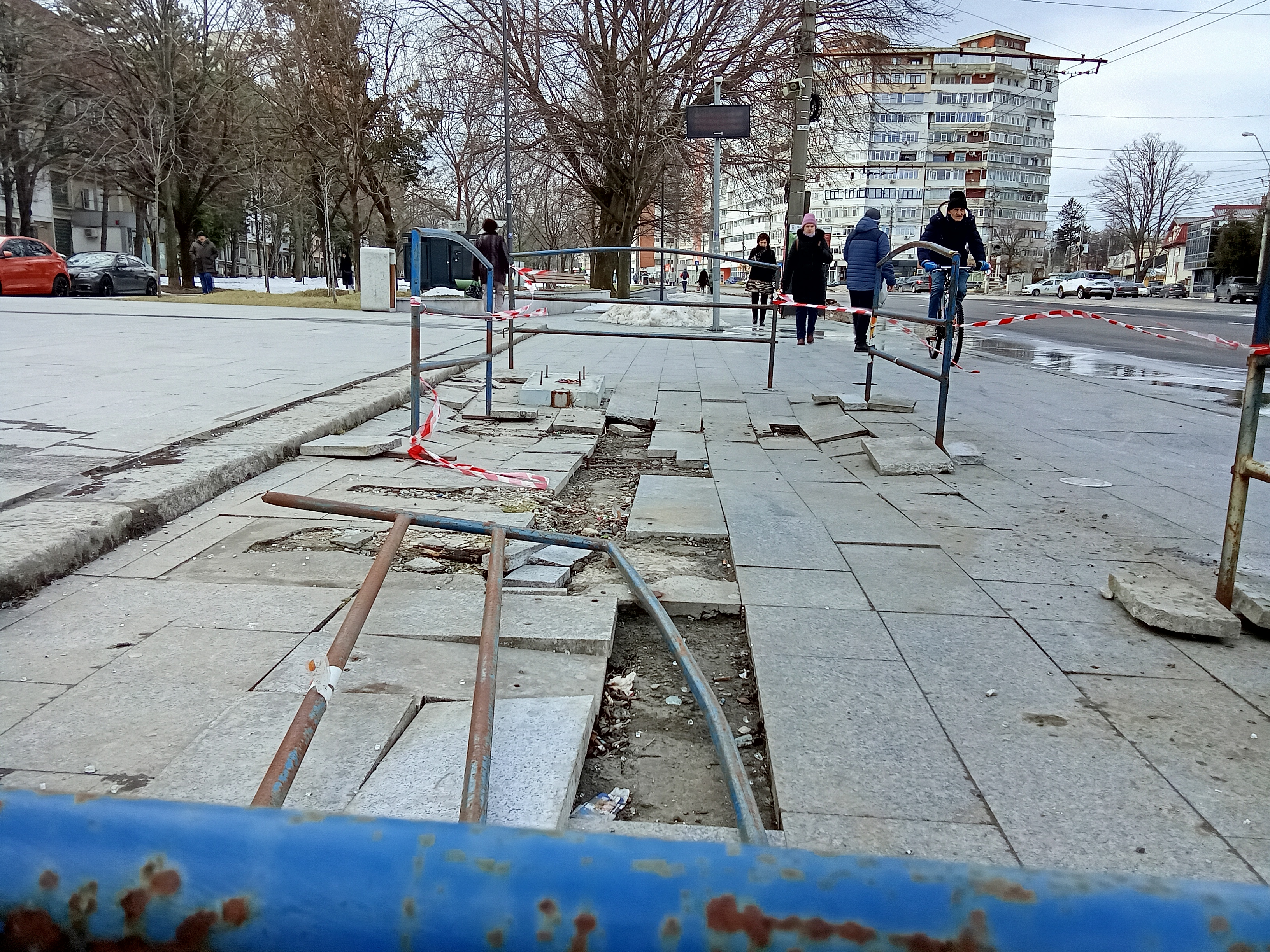 Unde putem studia evoluția unei tasări