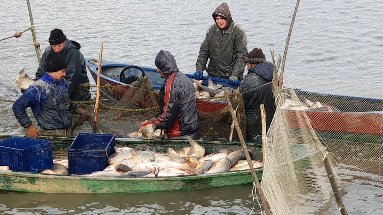 Restricții la pescuit în Delta Dunării