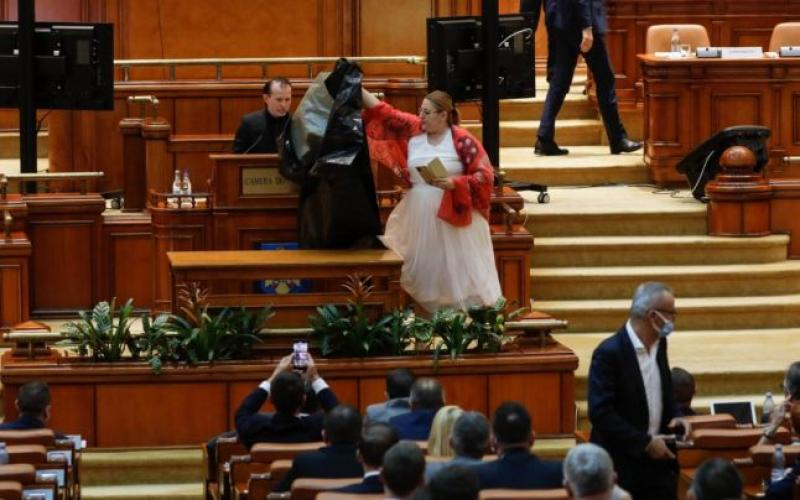 Restaurarea bunului simț în Parlament [Propunere]