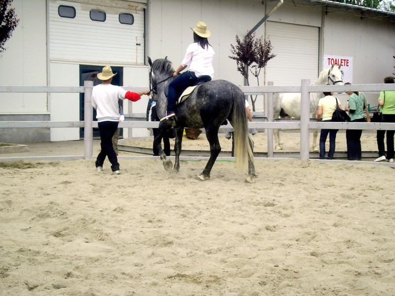 Herghelia de la Tuluceşti poate fi vizitată de sâmbătă până în 1 Mai