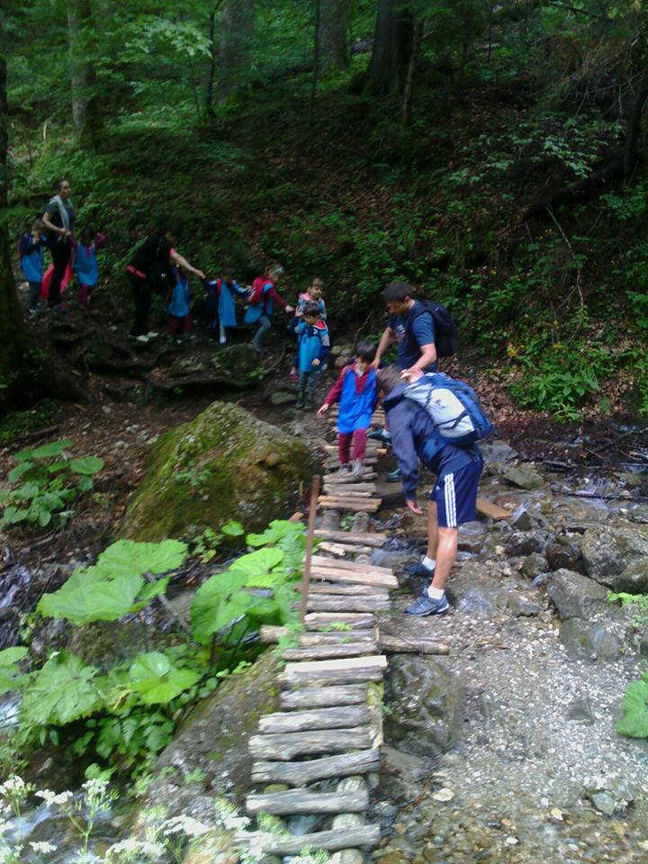 Din tabără, la spital