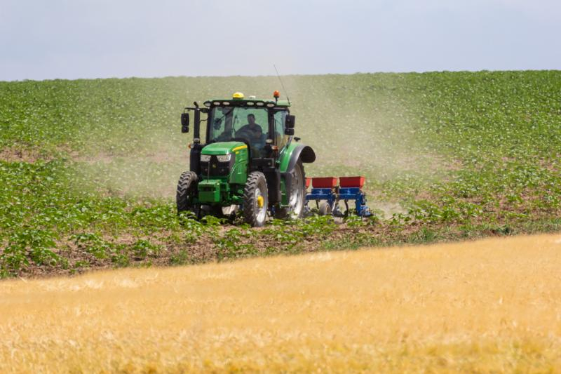 Recolta de grâu este suficientă, inclusiv pentru export