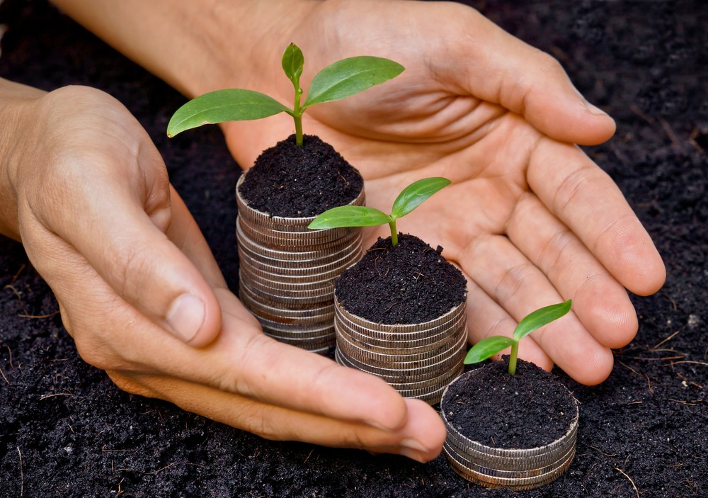 Subvenții pentru fermierii afectați de criza din Ucraina