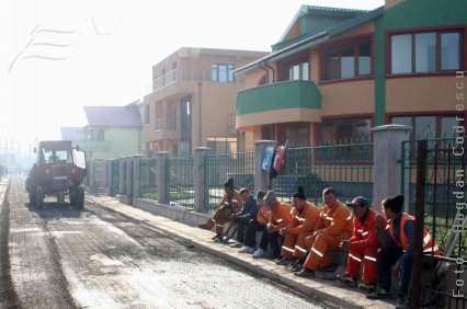 Avem „di tăti”, dar numai din import