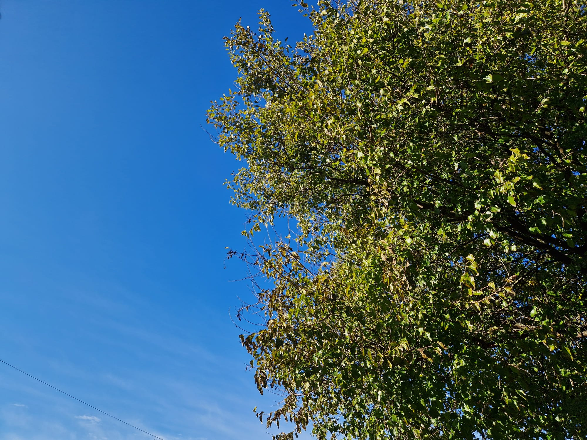 Vreme în curs de încălzire