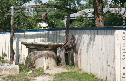 Nu mai sunt bani pentru venitul minim garantat! 