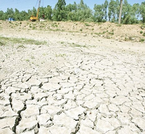 Seceta se va menţine în regiunile agricole din sudul, sud-estul şi vestul ţării