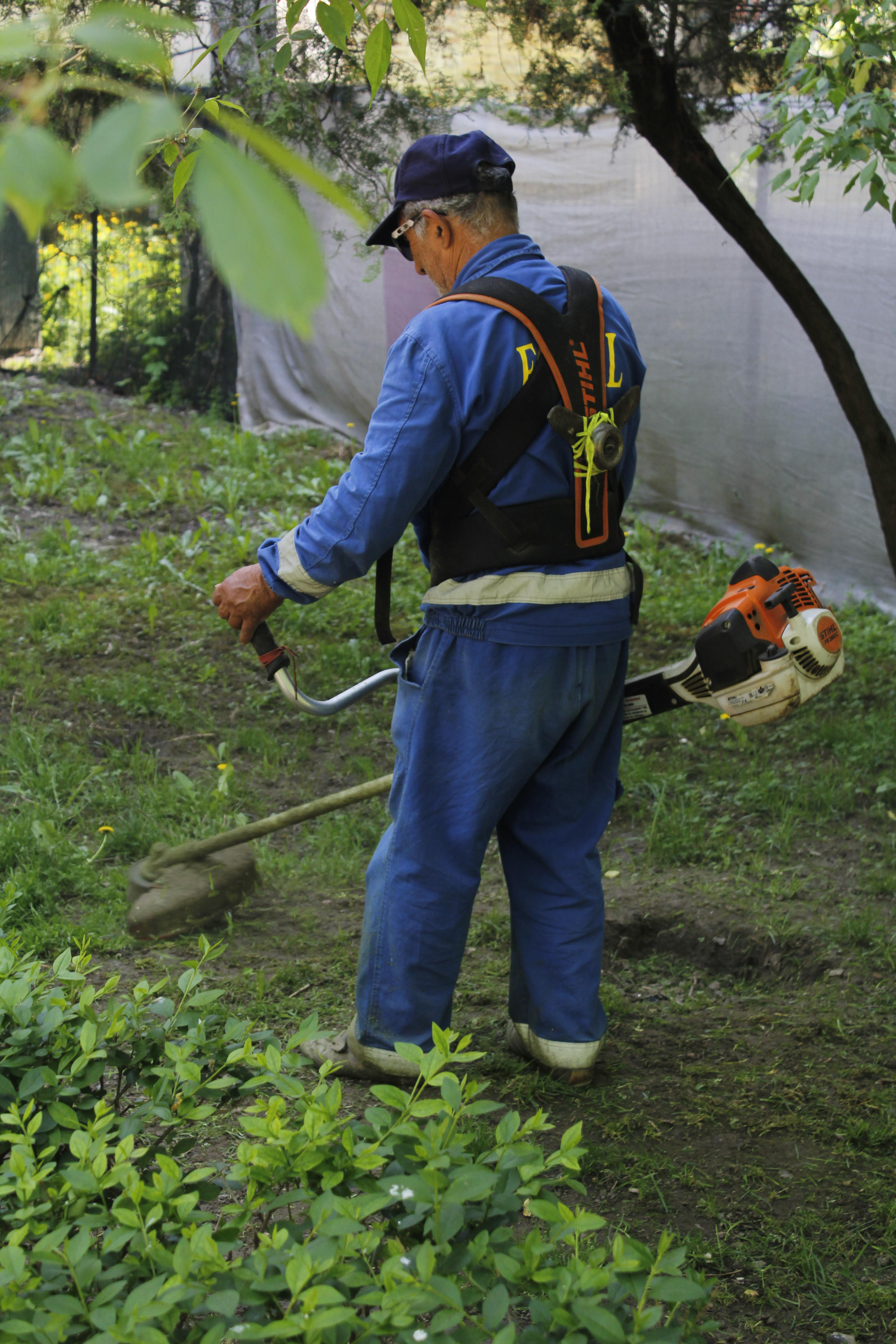 Gospodărire Urbană angajează personal pentru spaţiile verzi