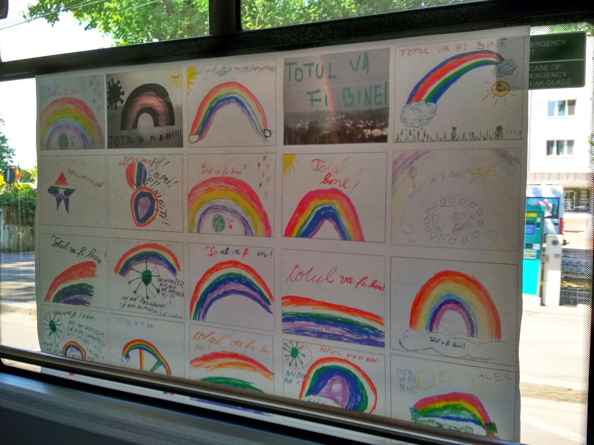 Colaj de curcubeie, în autobuzele Transurb (FOTO)