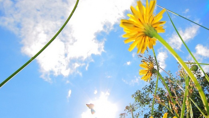 PROGNOZA METEO/ Cum va fi VREMEA la Galaţi, până pe 19 aprilie