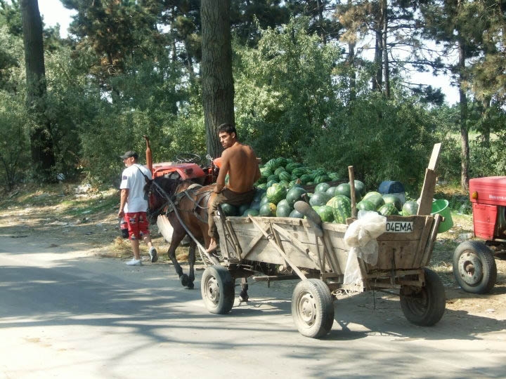 Flagrant la pepeni pe strada Odihnei din Tecuci